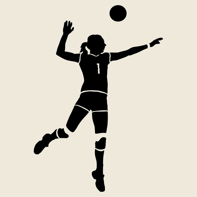 volleyball