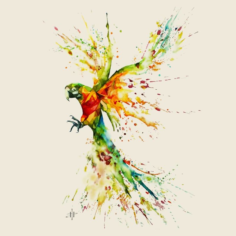 Parrot