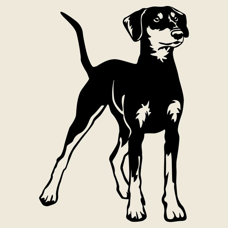 Pinscher allemand