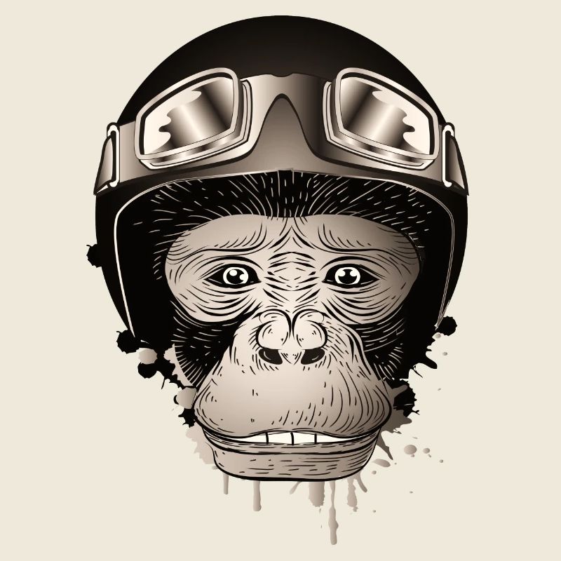 Chimpanzee with retro motorcycle helmet and goggles