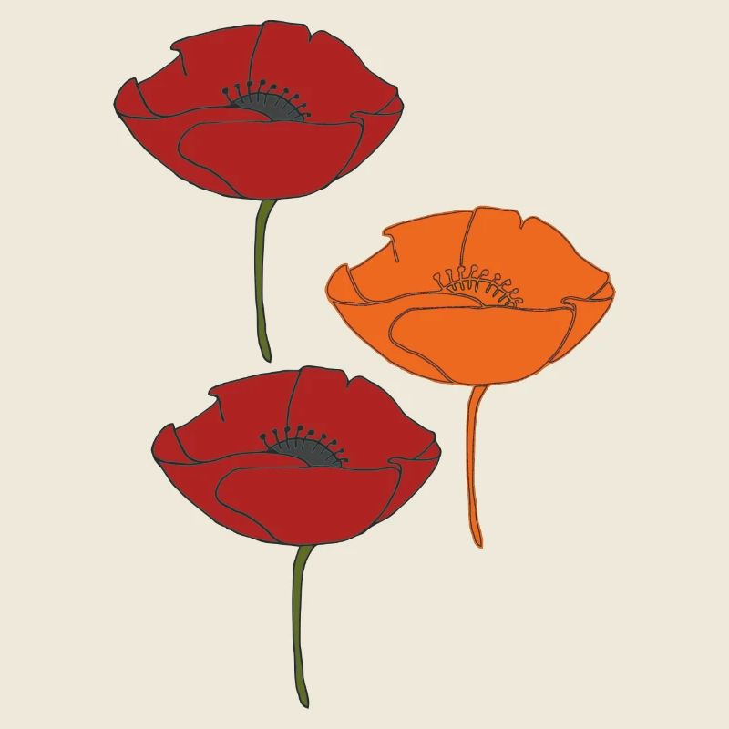 mohnblumen und orange