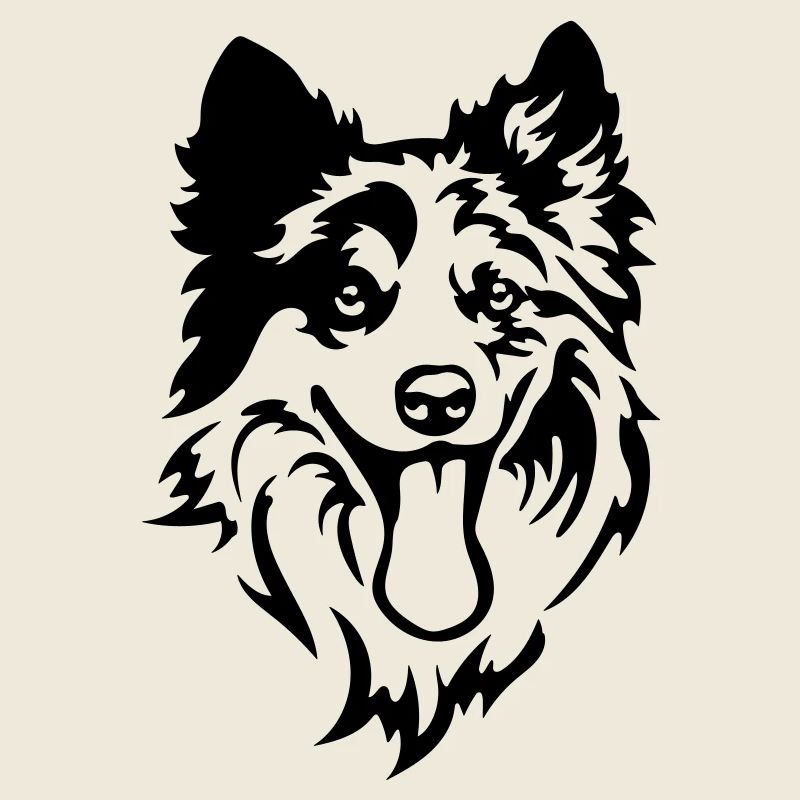 Tête de Border Collie