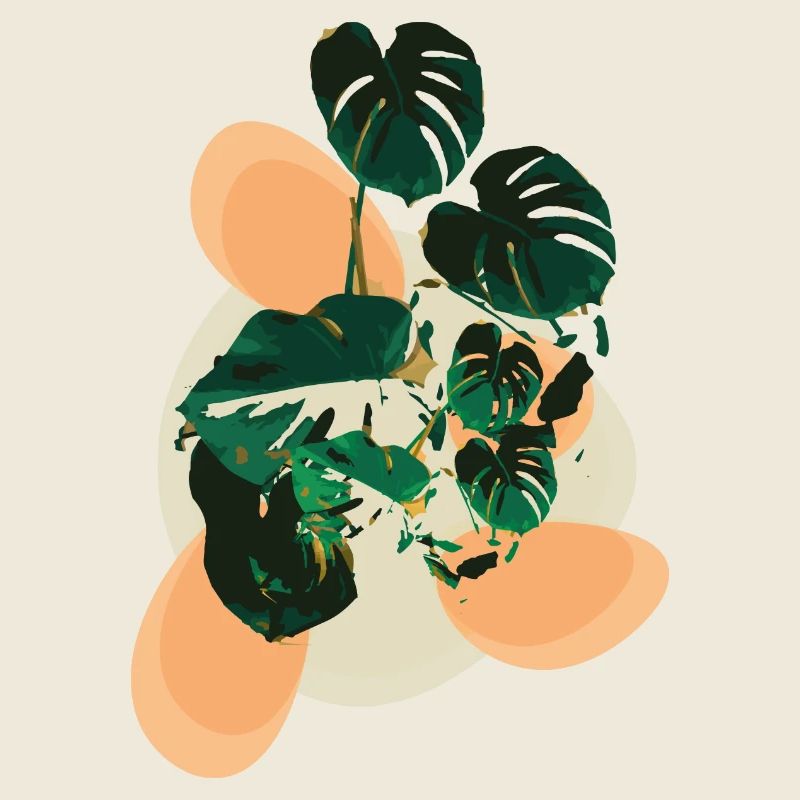 Monstera Flavour