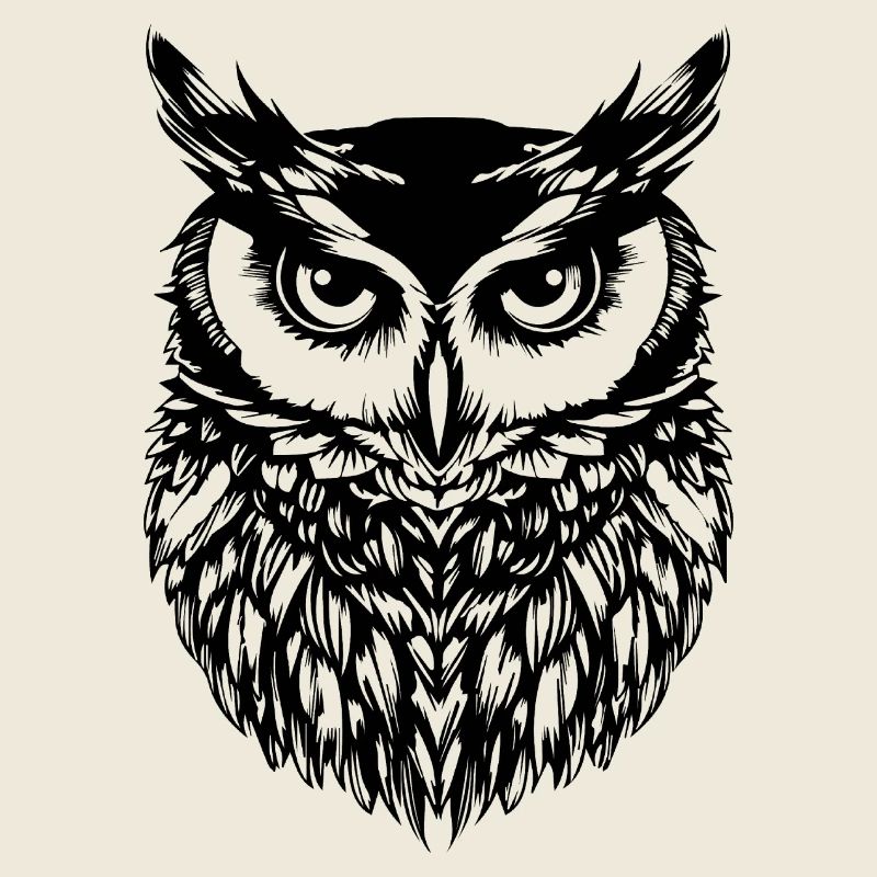 Hibou Hibou Oiseaux Oiseaux