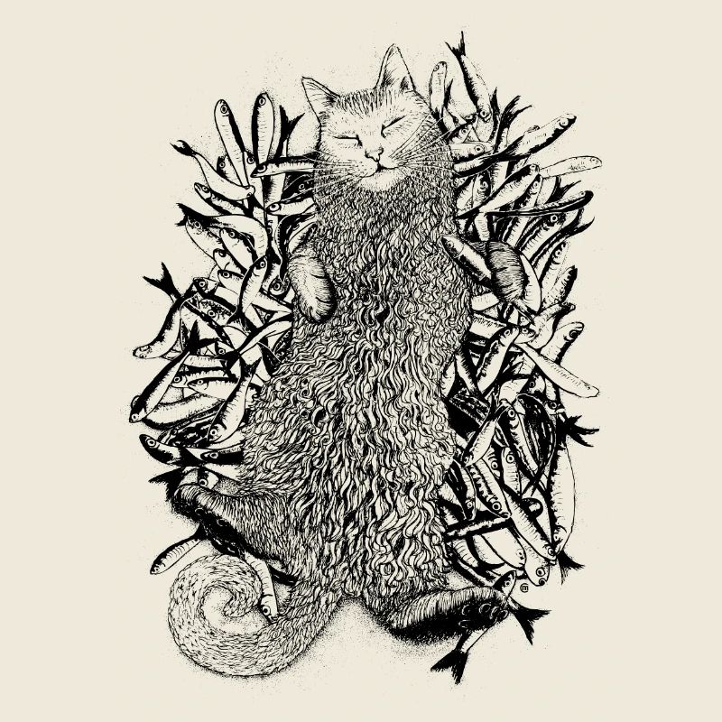 Katzenparadies