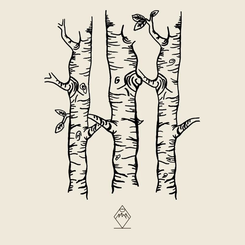 Birch - Black
