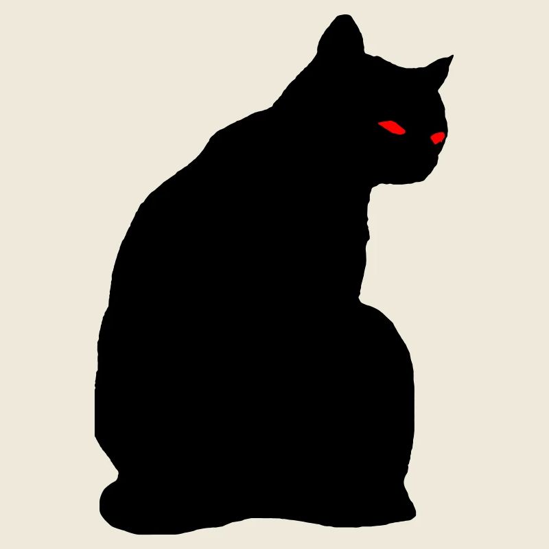 Black cat