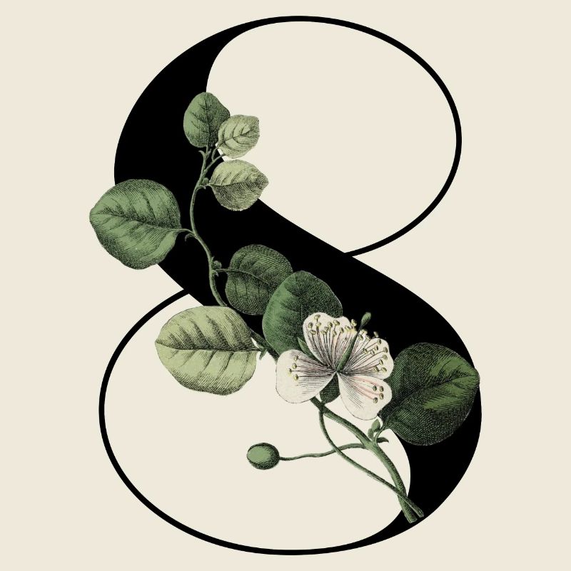 Numéro 8 floral vert -8e anniversaire floral