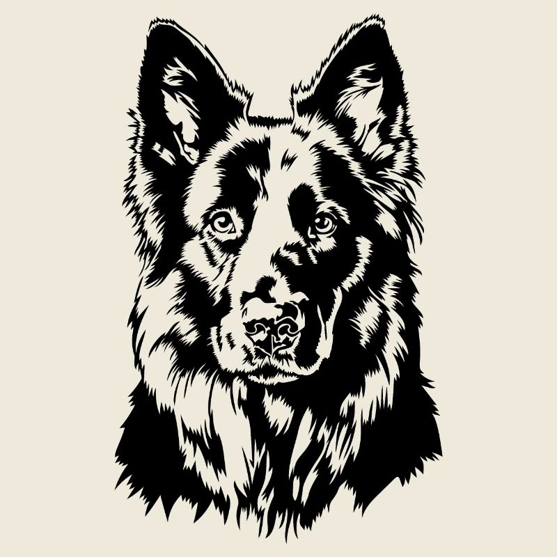 German Black Shepherd Portrait Wilsigns