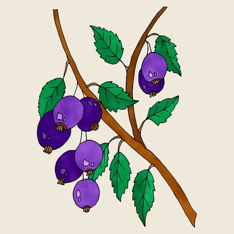 Pflaumen