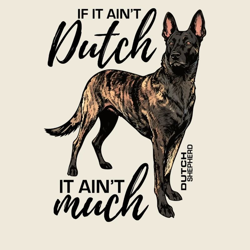 Dutchie - Chien de berger néerlandais