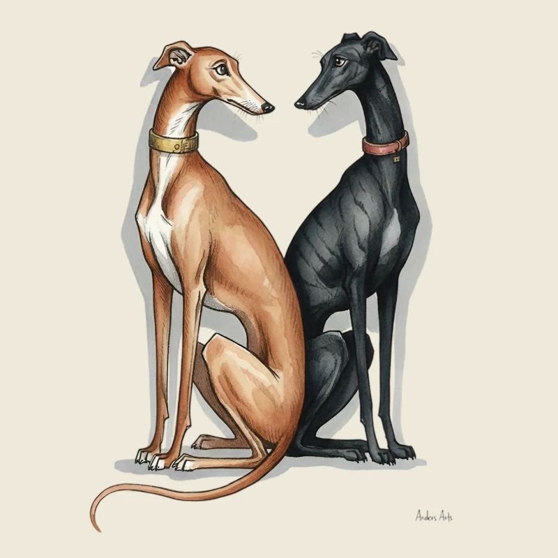 Zwei Galgos