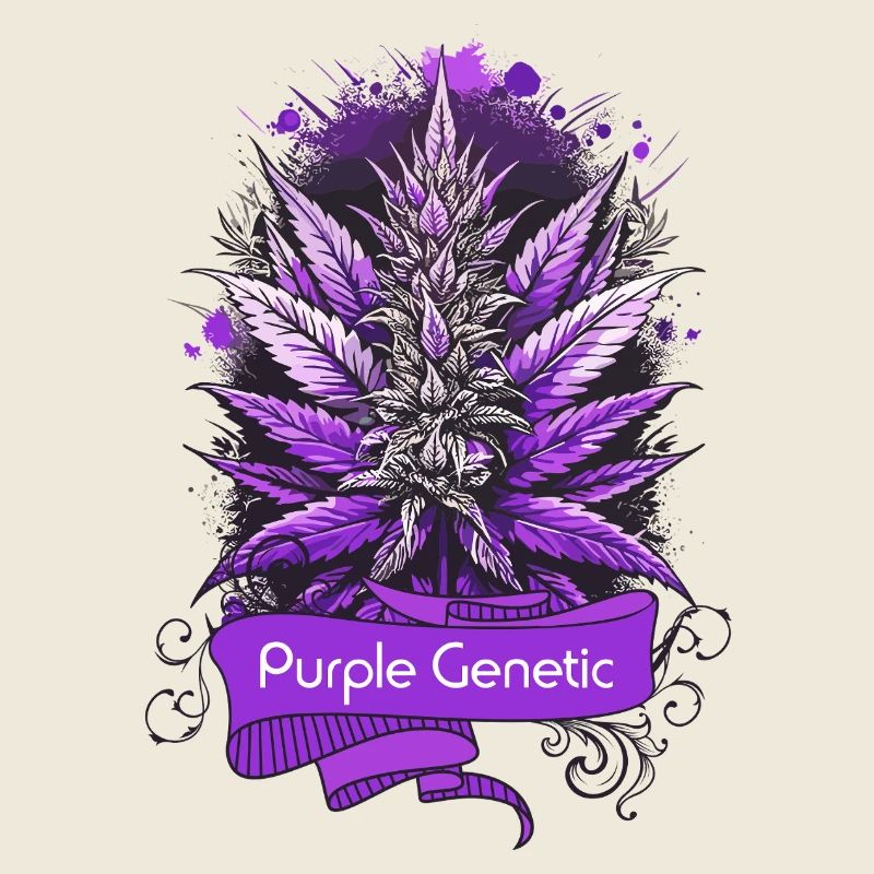 Génétique Pourpre