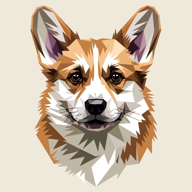 Corgi Welsh Corgi Cardigan Hund Süß Waliser Corgis