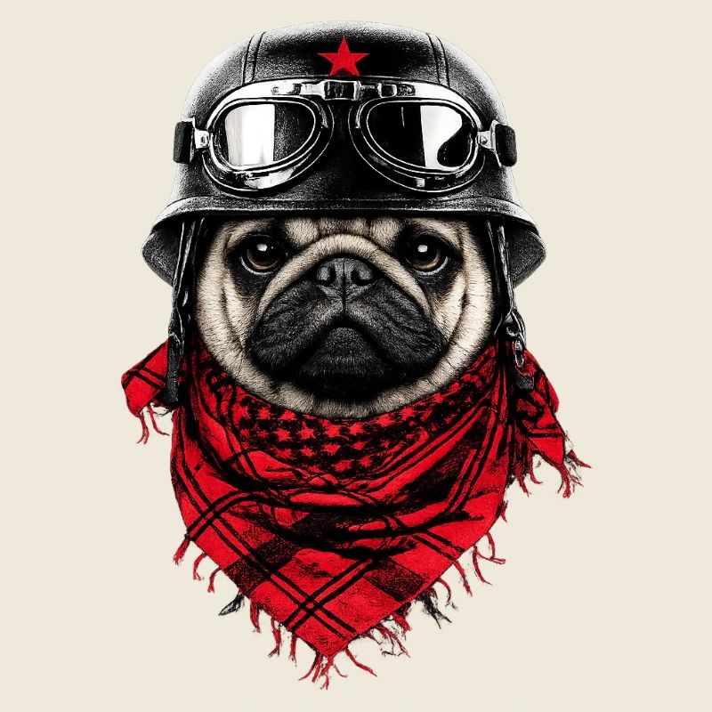 Combative pug in pilot look