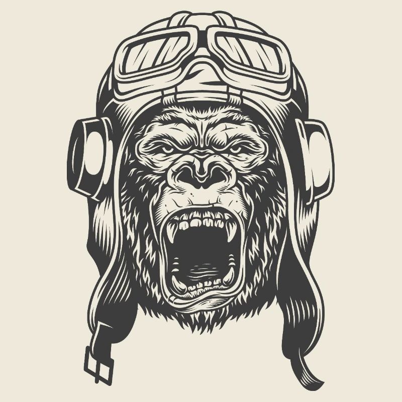 Conception du pilote Gorilla