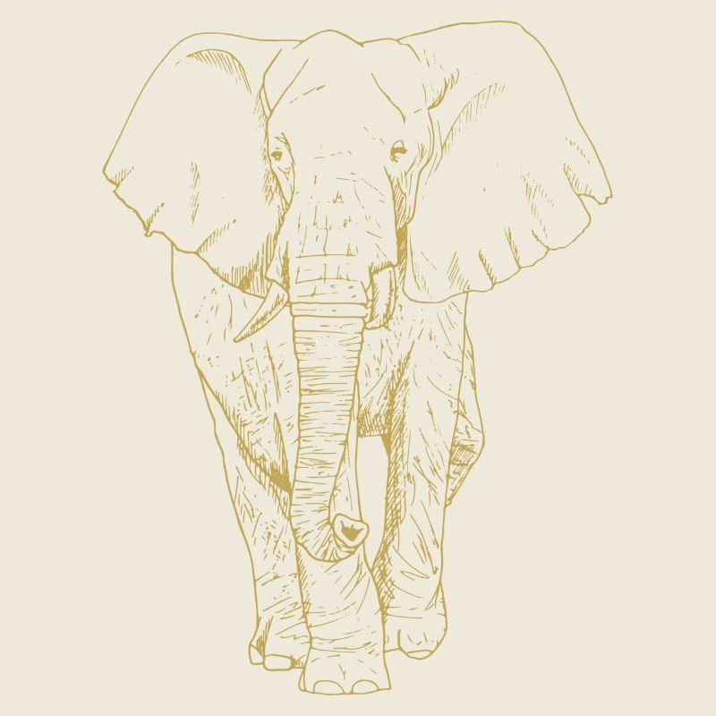 Illustrierte Designs mit Elefant