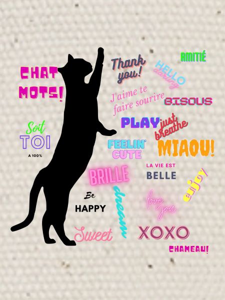 Chat mots