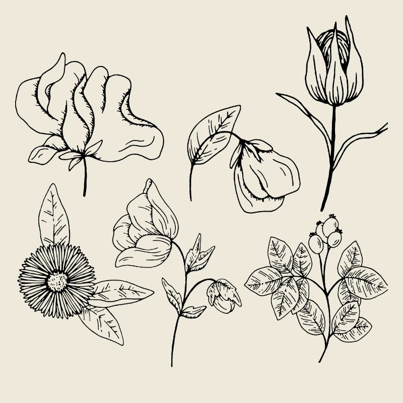 Groupe de fleurs minimalistes