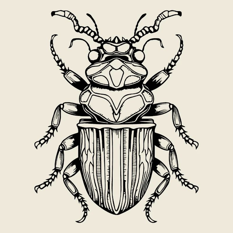 Insectes, bestioles, arthropodes