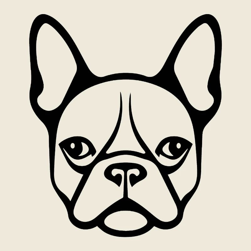 Bouledogue français Terrier de Boston