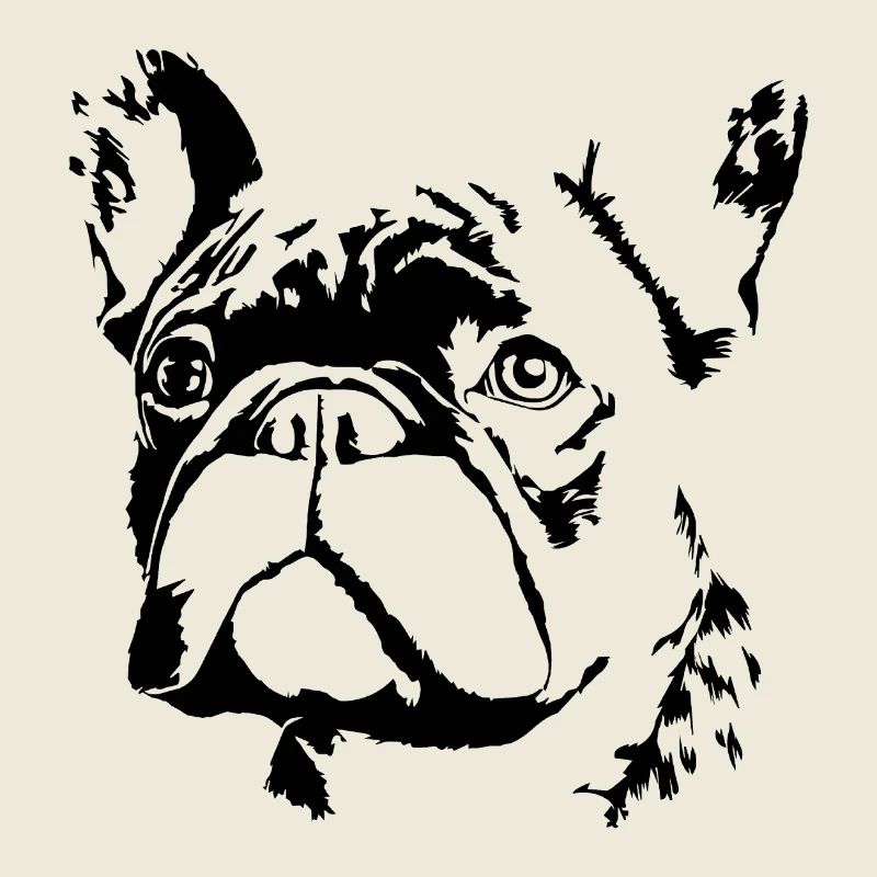 Bouledogue français Terrier de Boston
