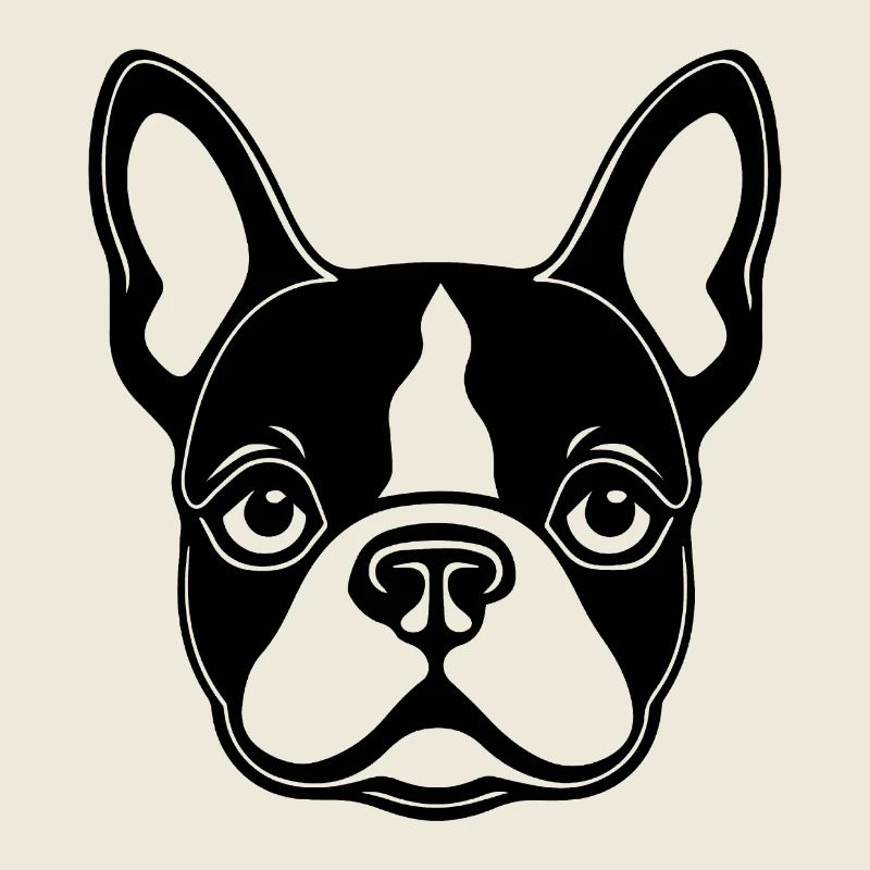Bouledogue français Terrier de Boston