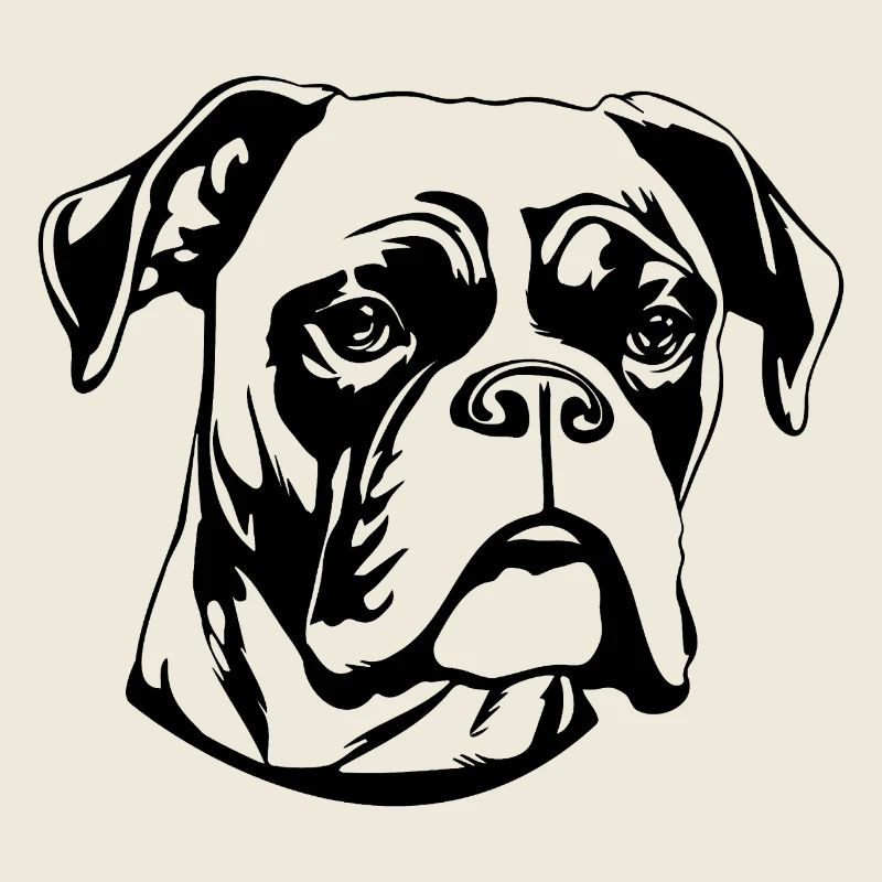 Races de chiens boxers