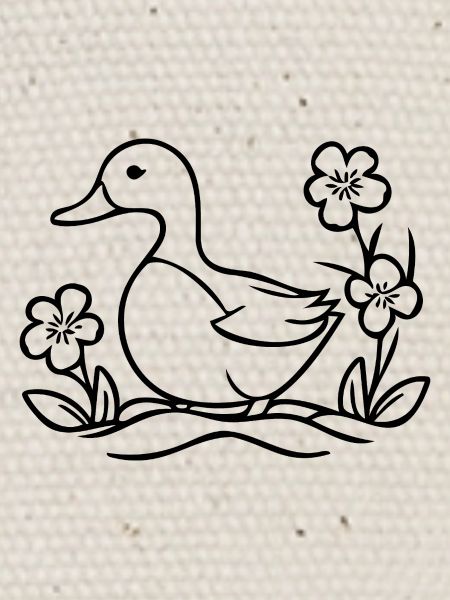 Canard Oiseaux Canards