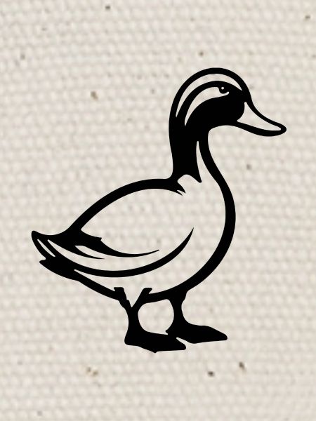 Canard Oiseaux Canards