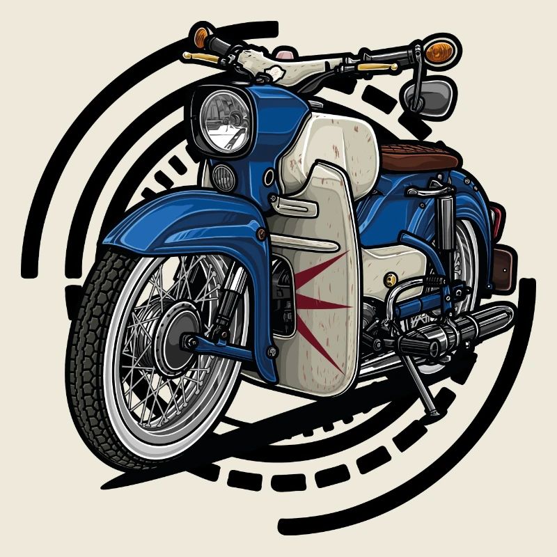 Épervier // Illustration