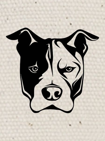Pitbull