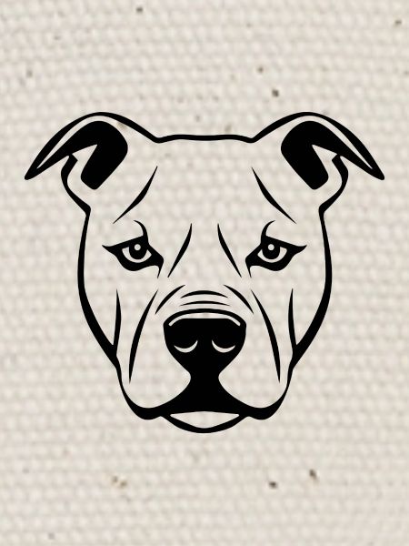 Pitbull
