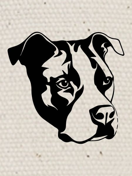 Pitbull