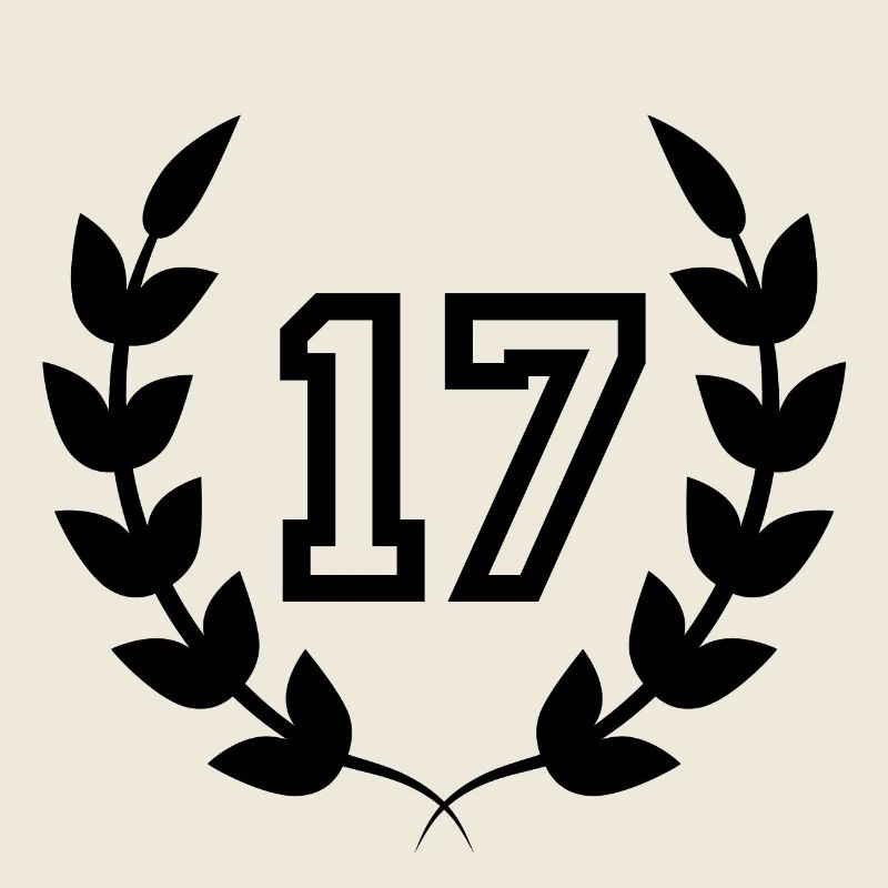 17e anniversaire-idée cadeau 17 ans