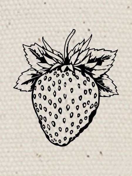 Fraise Fruit Fruit