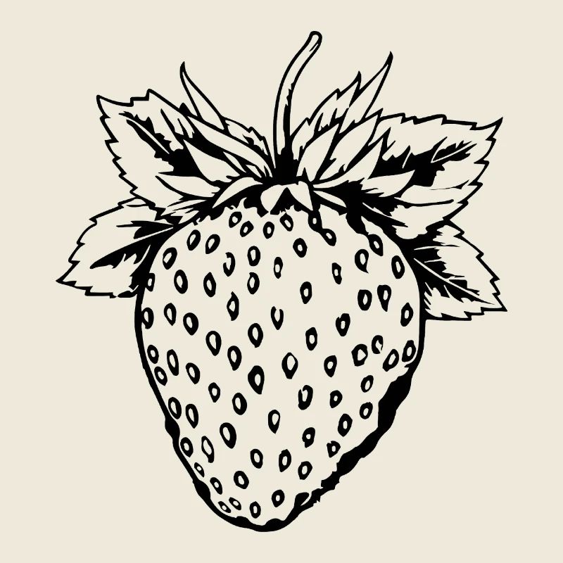 Strawberry Fruit Fruit