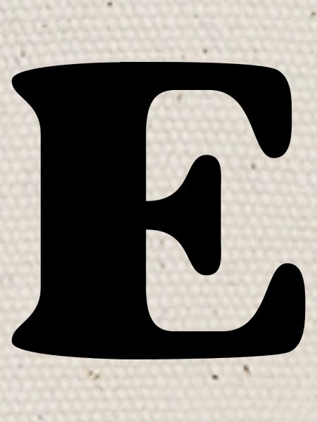 Lettre e