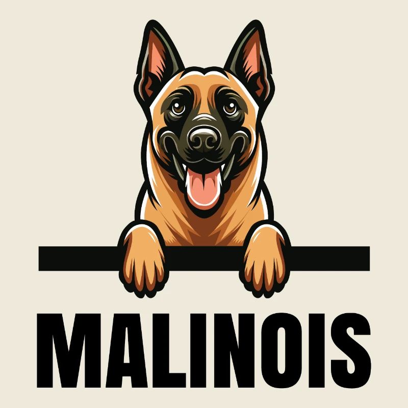 Belgischer Malinois Belgischer Malinois