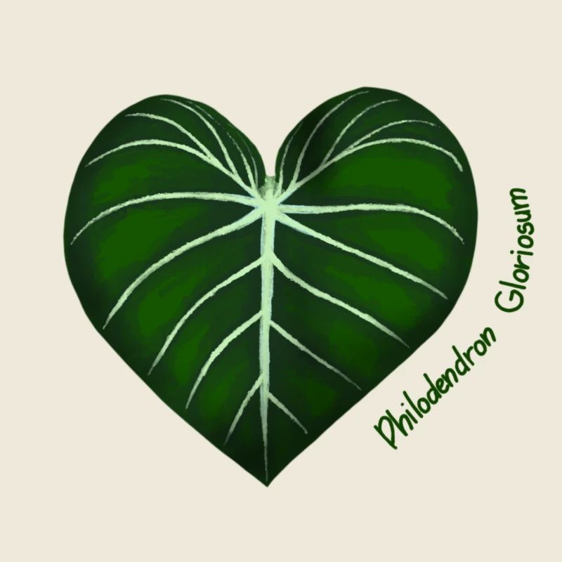 Philodendron Gloriosum