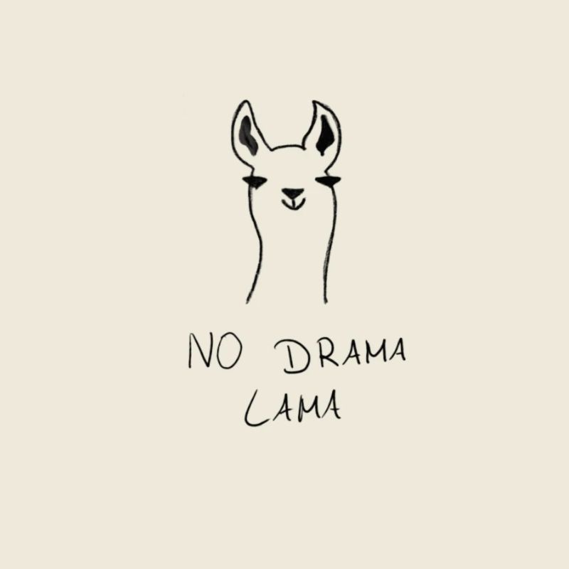 Nom : No Drama Llama - Design de la Drôle de Llama