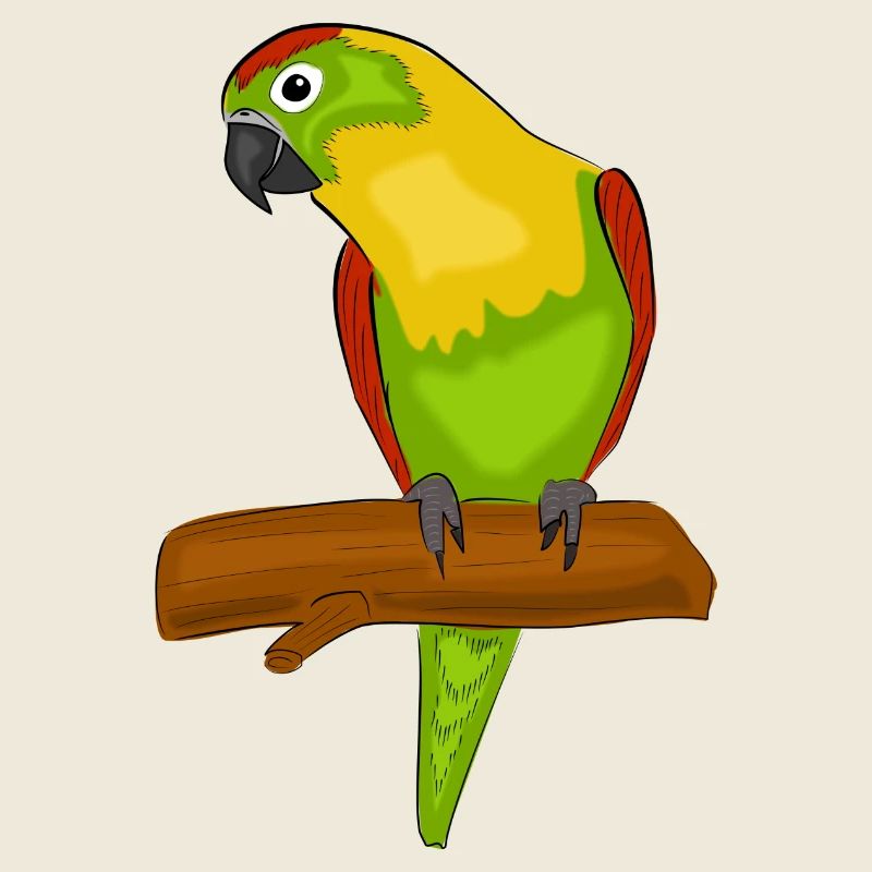 Papagei Vogel Exotisch Bunt