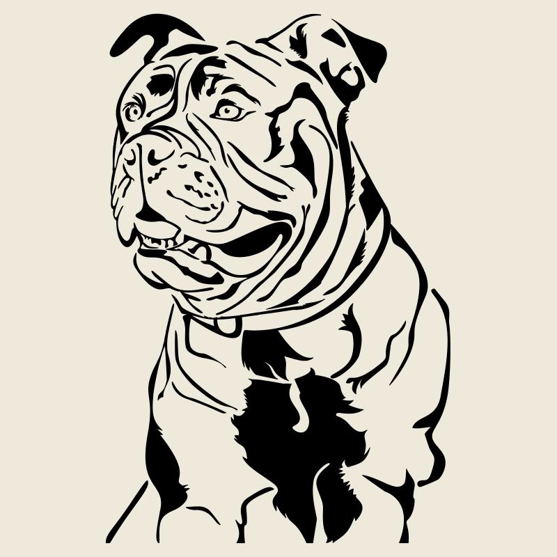 Old English Bulldog head