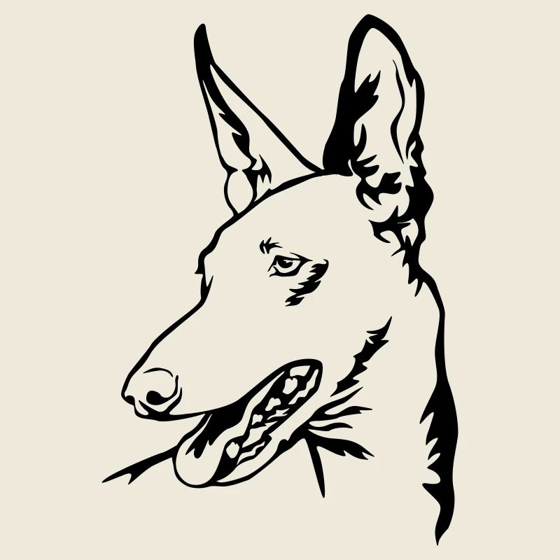 Podenco Kopf