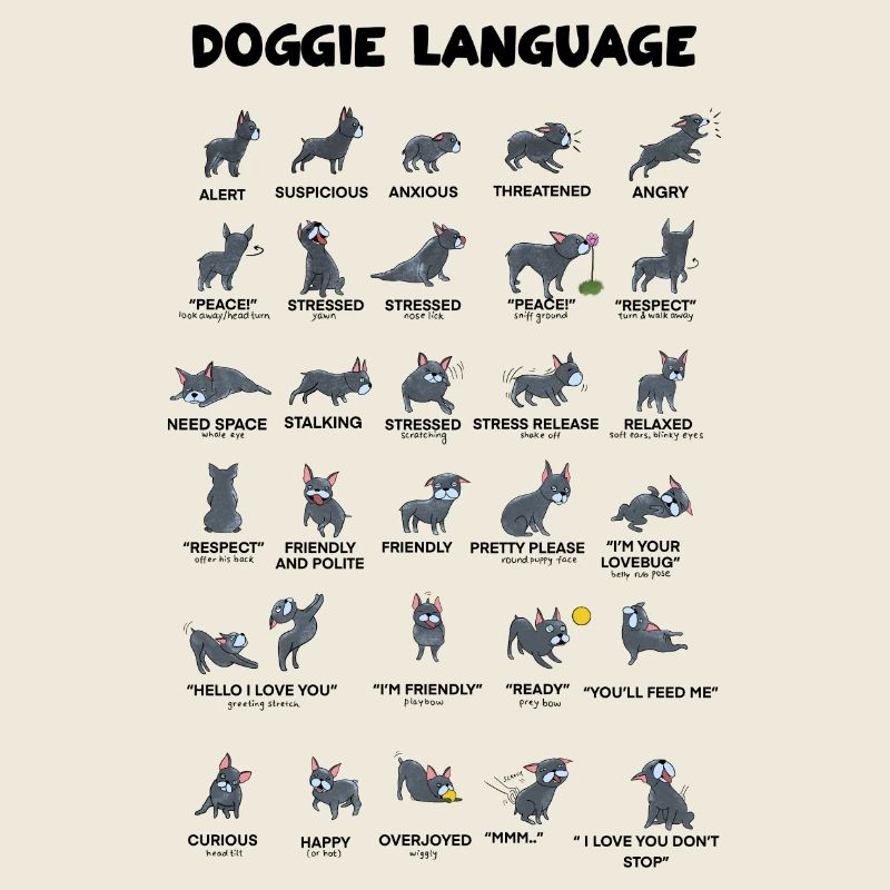 Langage canin