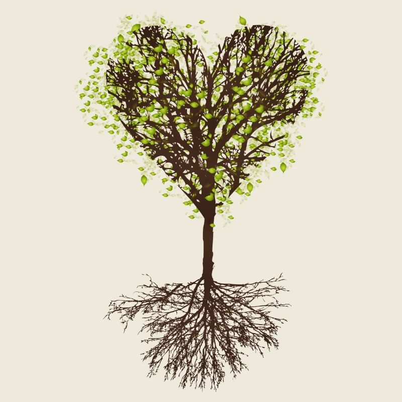 heart-shaped treetop with leaves and root