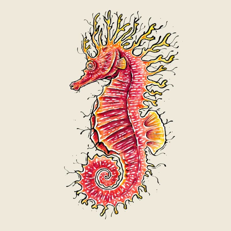 Hippocampe