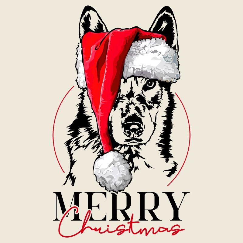 Lévrier tchécoslovaque Joyeux Noël