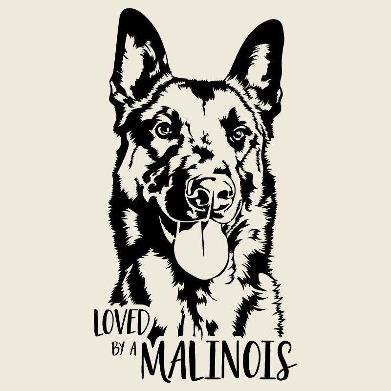 Aimé par un chien Malinois disant chien Wilsigns