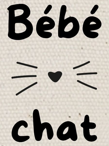 Bébé chat